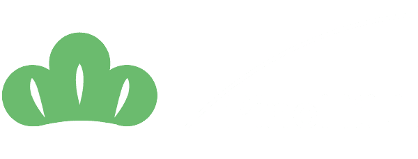 Pine Hill Group パインヒルグループ